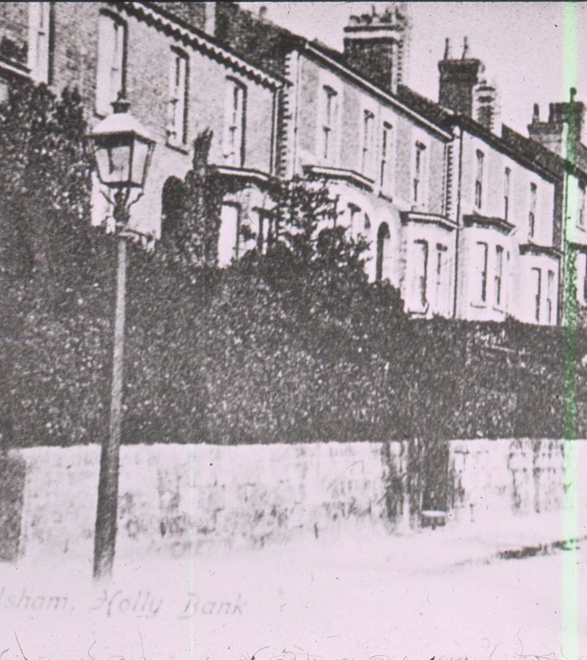 photo null section holly bank jpg